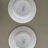 Set of 2 St Amand ironstone plates, Jardinière model