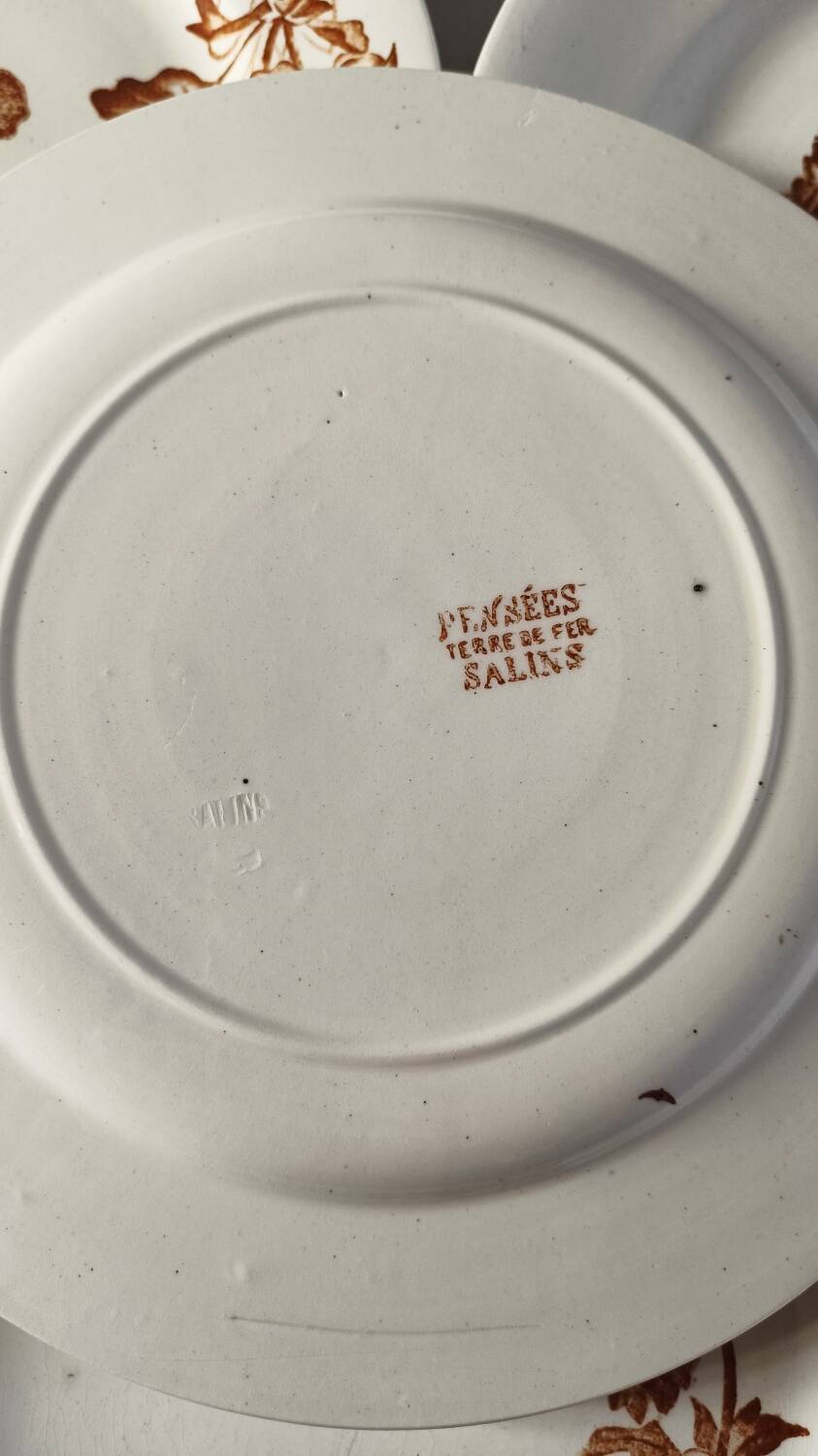 Salins ironware flat plates
