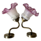 Paire d'appliques style retro , tulipes