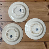 Set of 3 antique "Iron Earth" soup plates