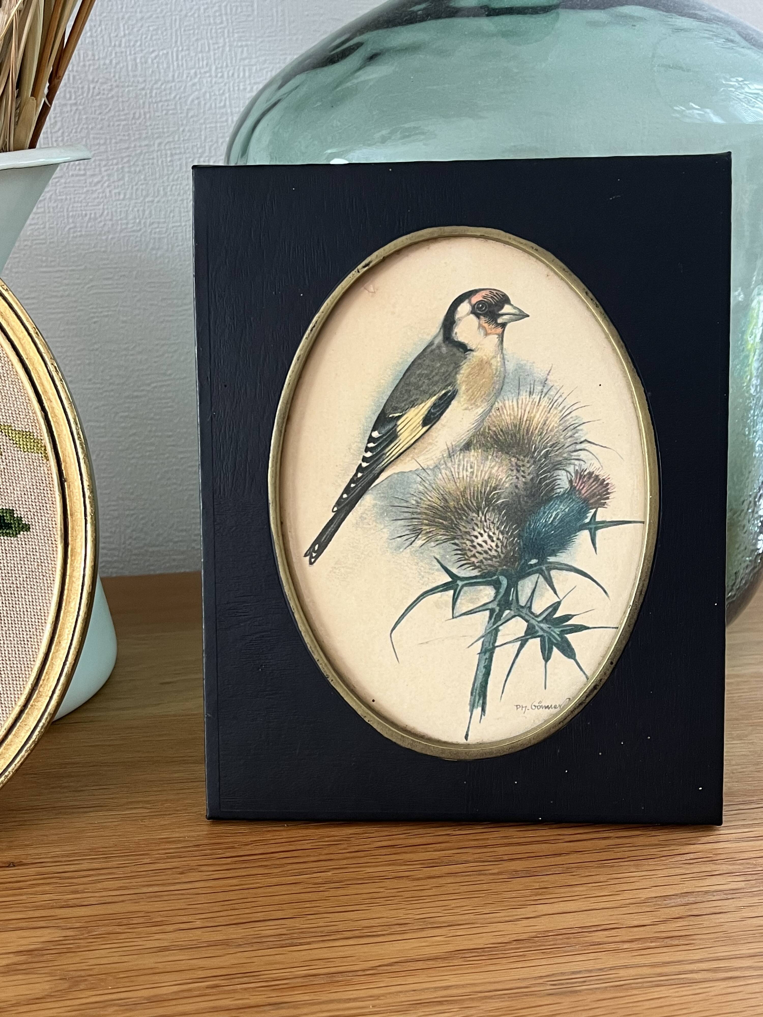 Former naturalist Ph Gonner