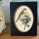 Former naturalist Ph Gonner