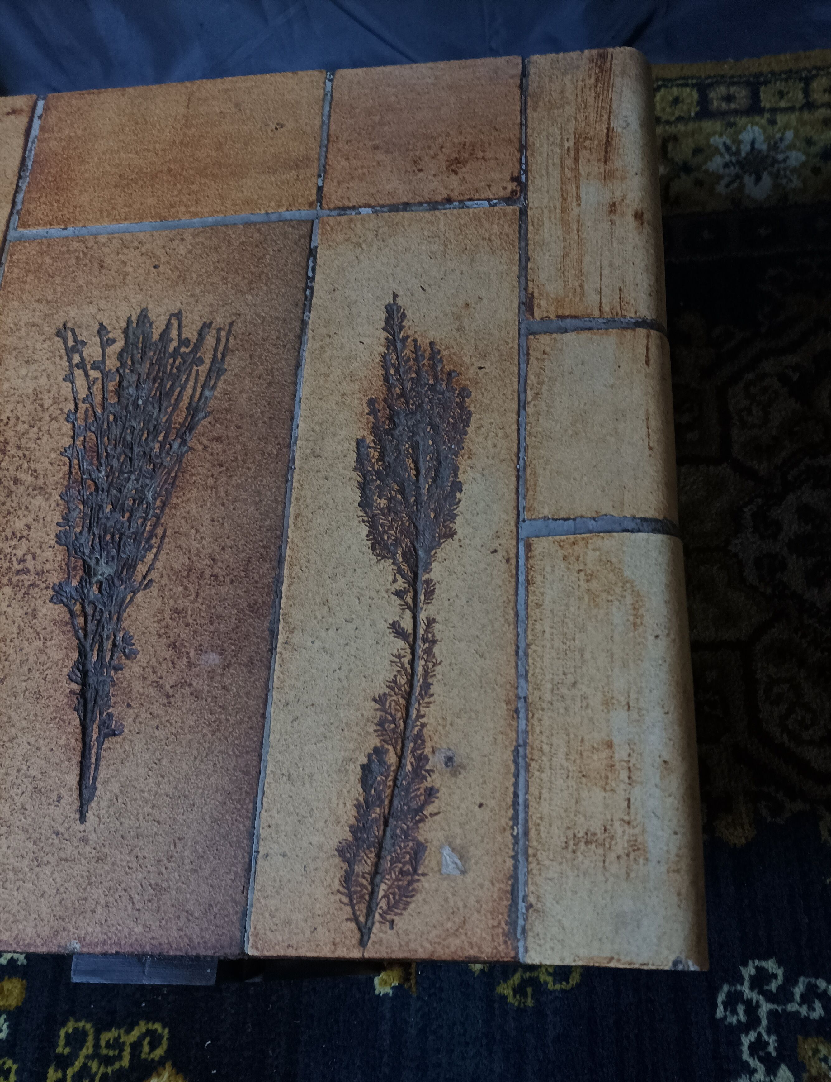 Roger Capron coffee table