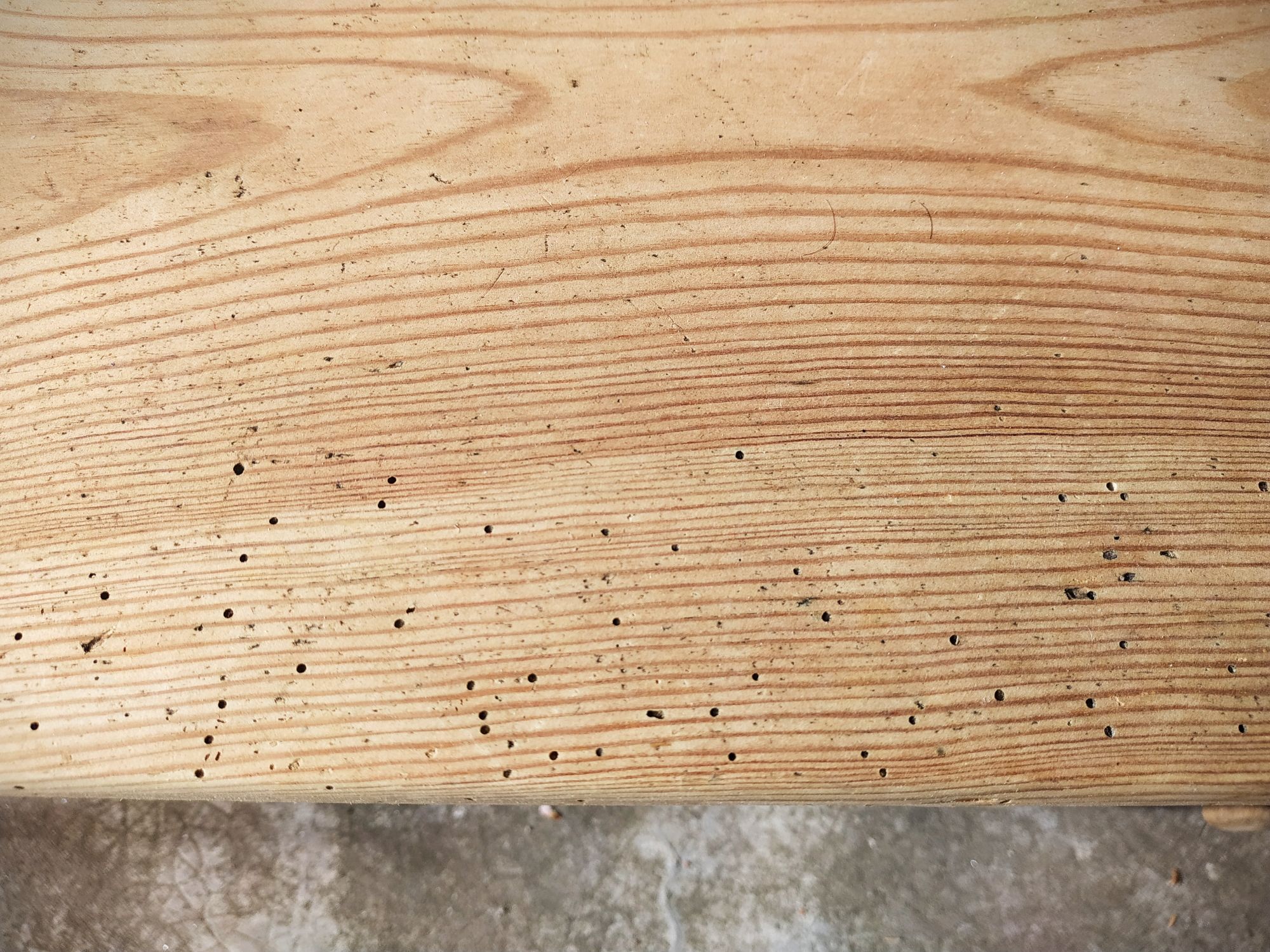 Small old tree closet