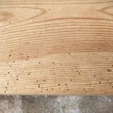 Small old tree closet