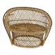 Double door wicker plant armchair