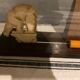 Bear and wood photo frame