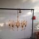 Lustre De Majo Murano vintage