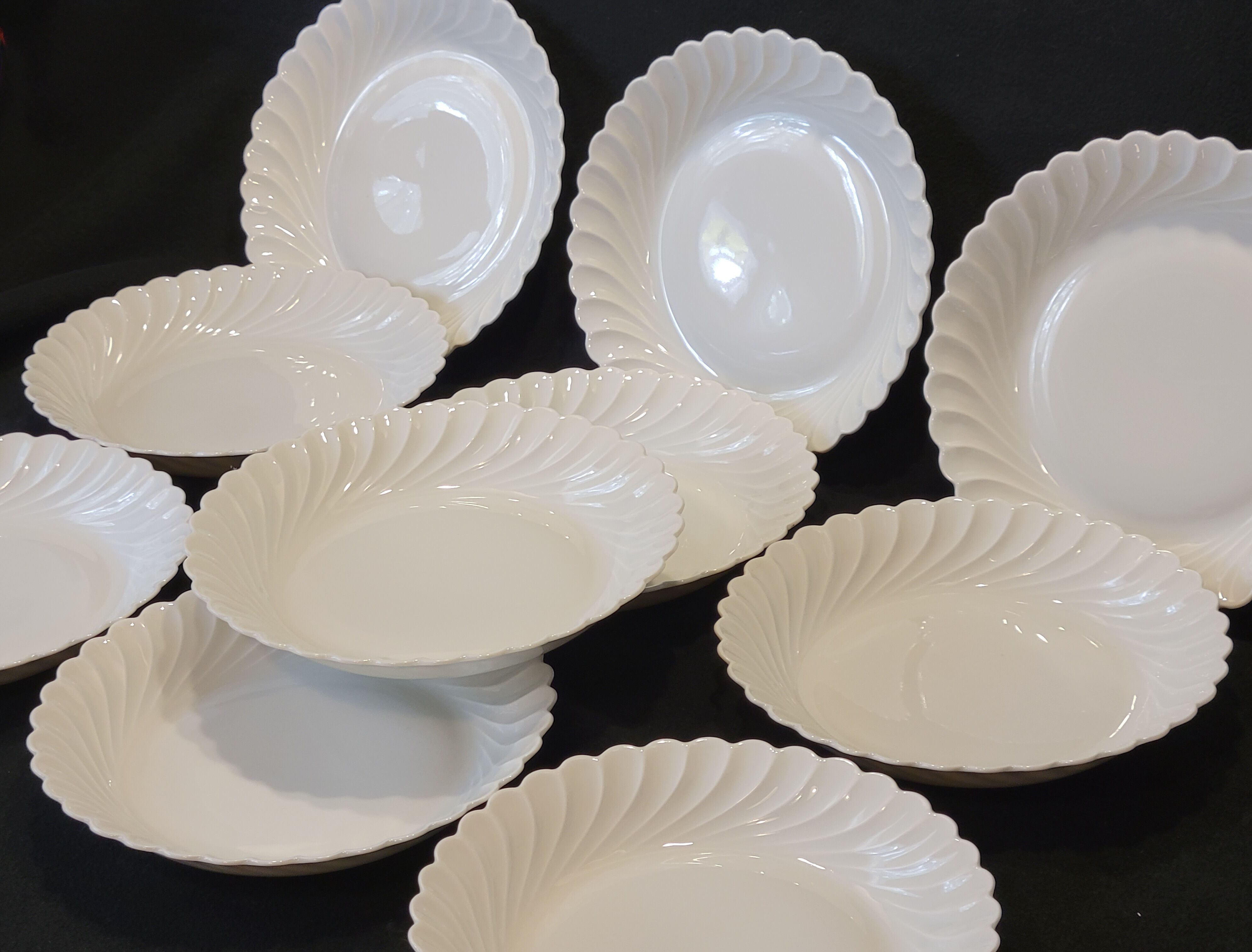 10 Haviland Torso Plates Diameter 19.5 Cm