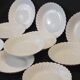10 Haviland Torso Plates Diameter 19.5 Cm