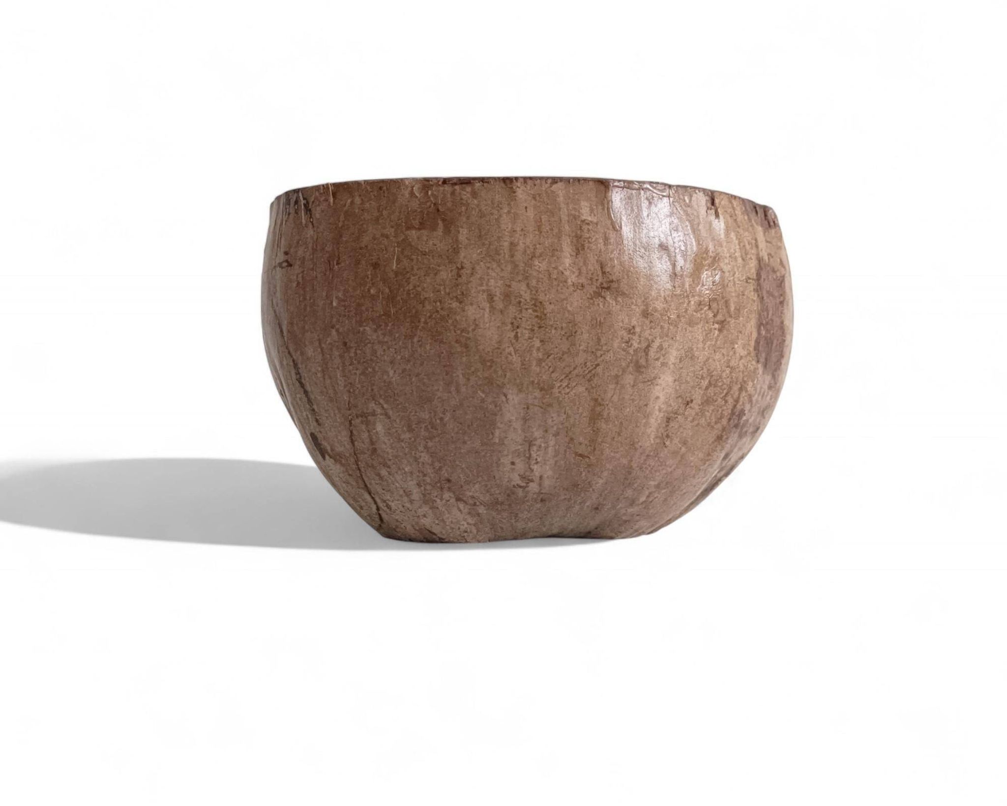 Centre de table Wabi Sabi moderne organique Coco de Mer, sculpté à la main, 19e siècle.