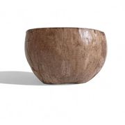Centre de table Wabi Sabi moderne organique Coco de Mer, sculpté à la main, 19e siècle.