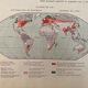 Demographic map — World | Original map sheet