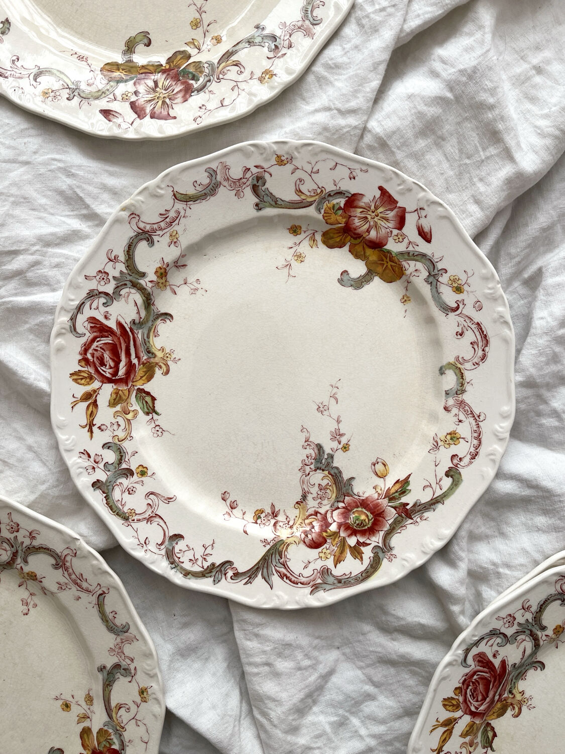 6 polychrome ironstone dinner plates "Wentworth" by Emile Bourgeois