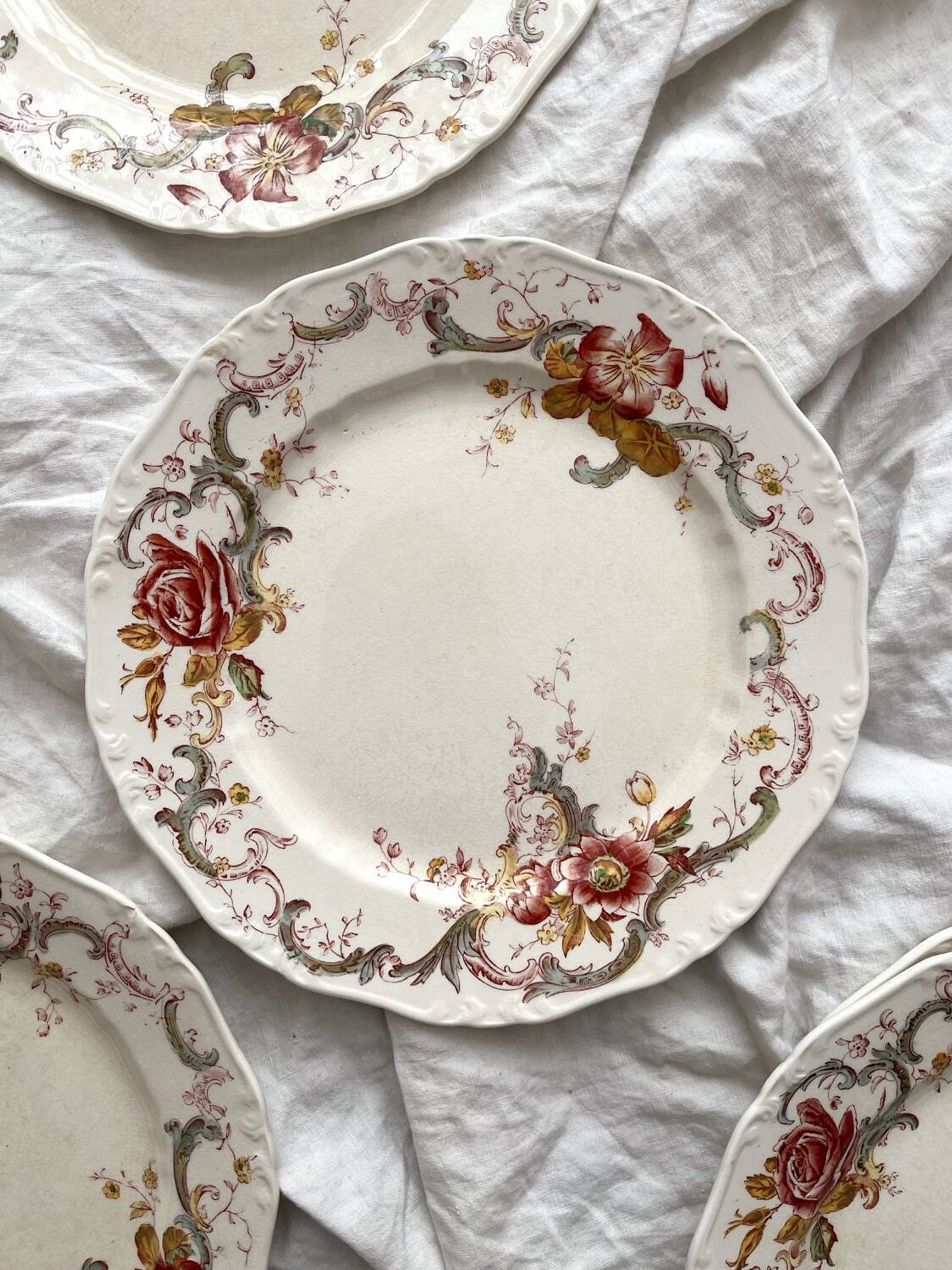 6 polychrome ironstone dinner plates "Wentworth" by Emile Bourgeois