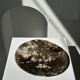 Dish in petrified wood