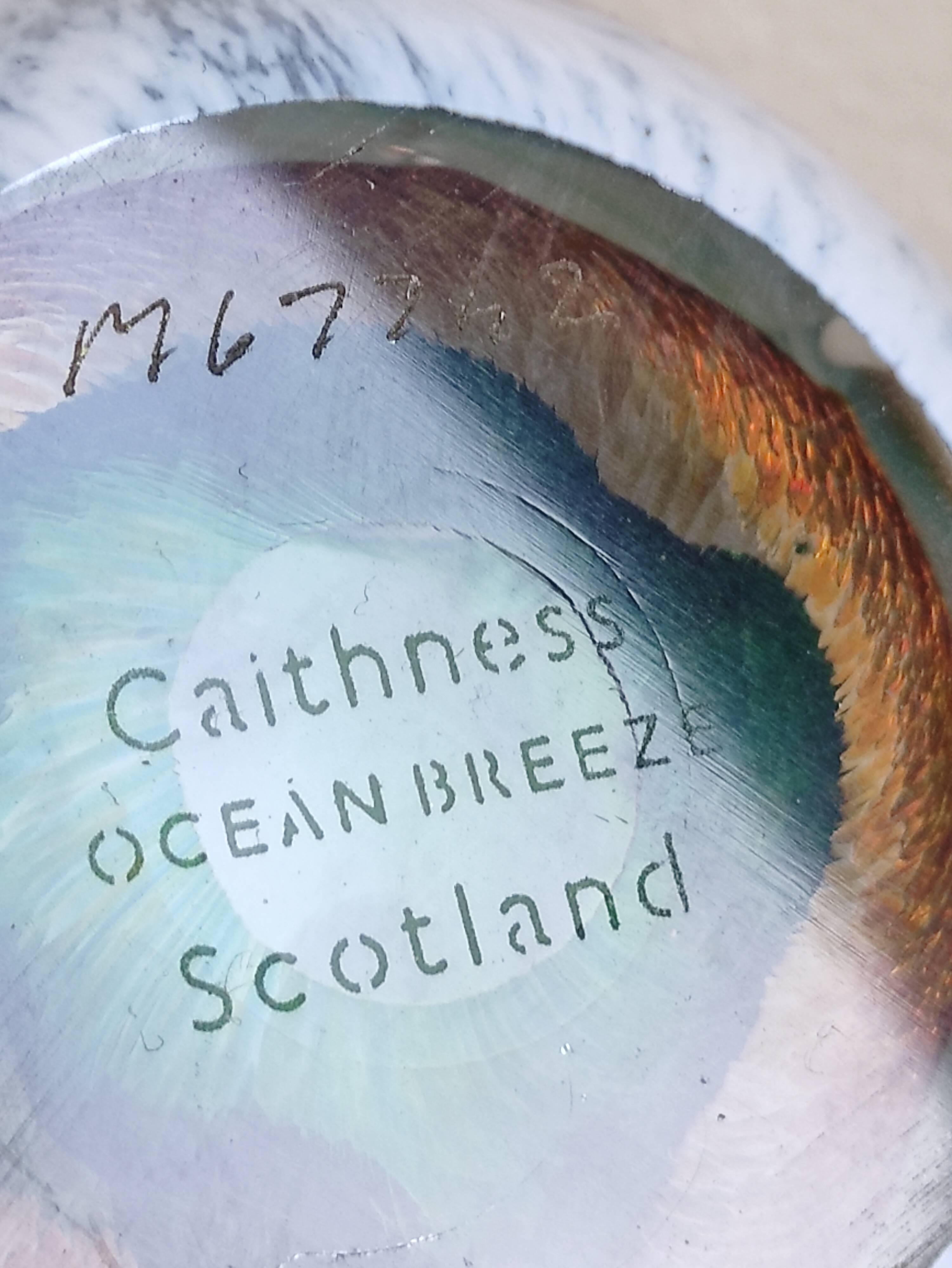 Vintage mouth-blown sulfide paperweight by Caithness Scotland