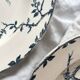 6 “Oxford” ironstone soup plates from Choisy le Roi