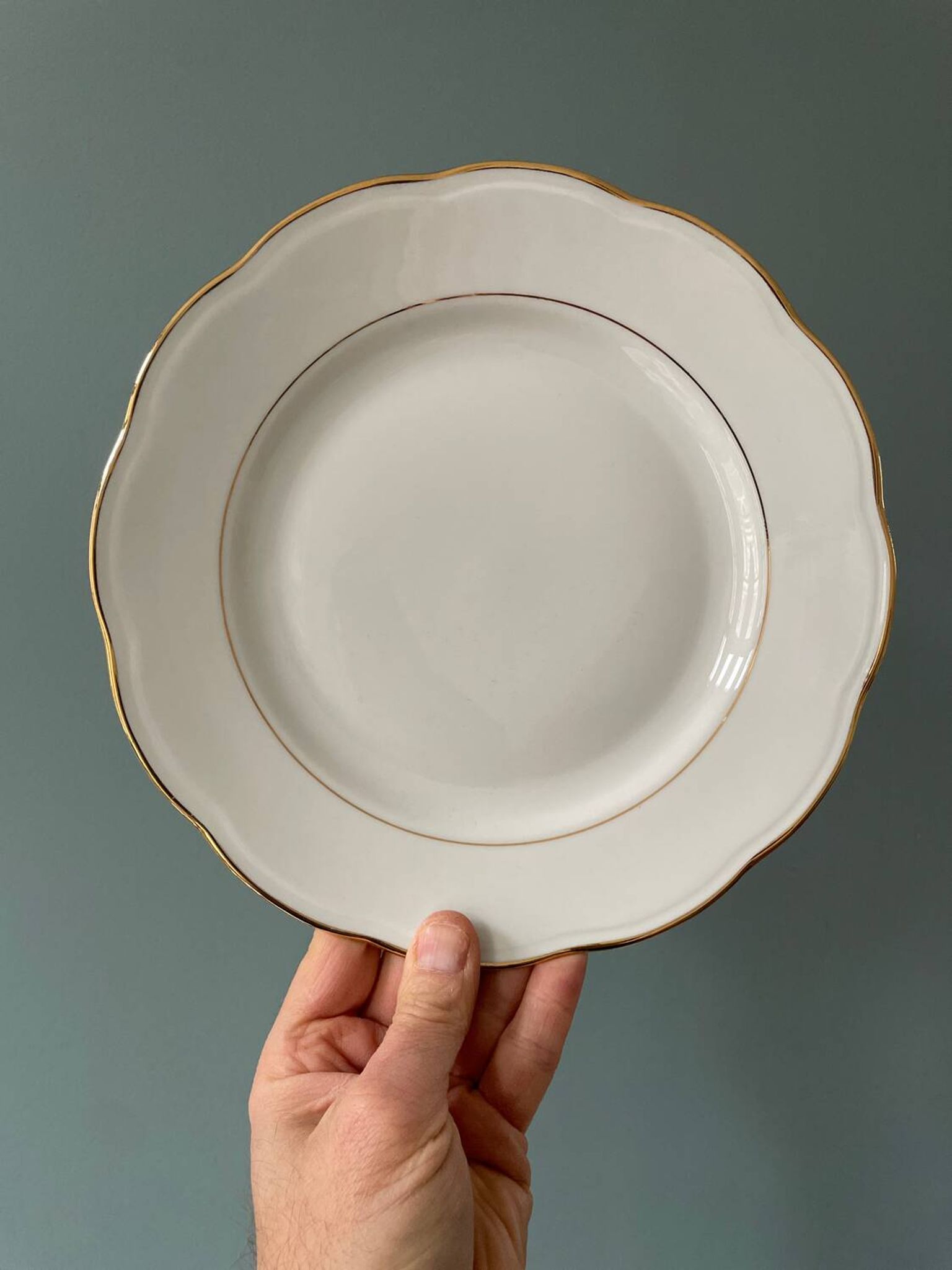 Series of 11 old flat plates in white porcelain and gold edging