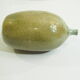 Ancient soliflore vase signed