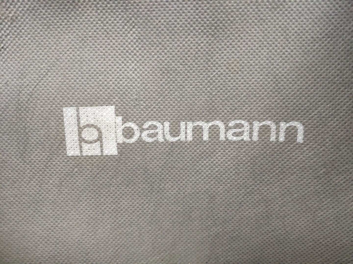 Paire de chaises Baumann