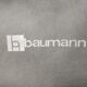 Paire de chaises Baumann
