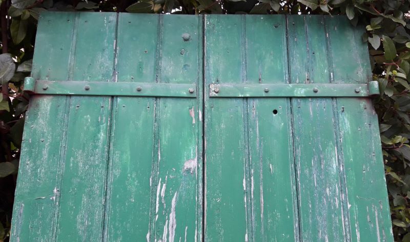 Pair of shutters H125xL87cm old painted fir