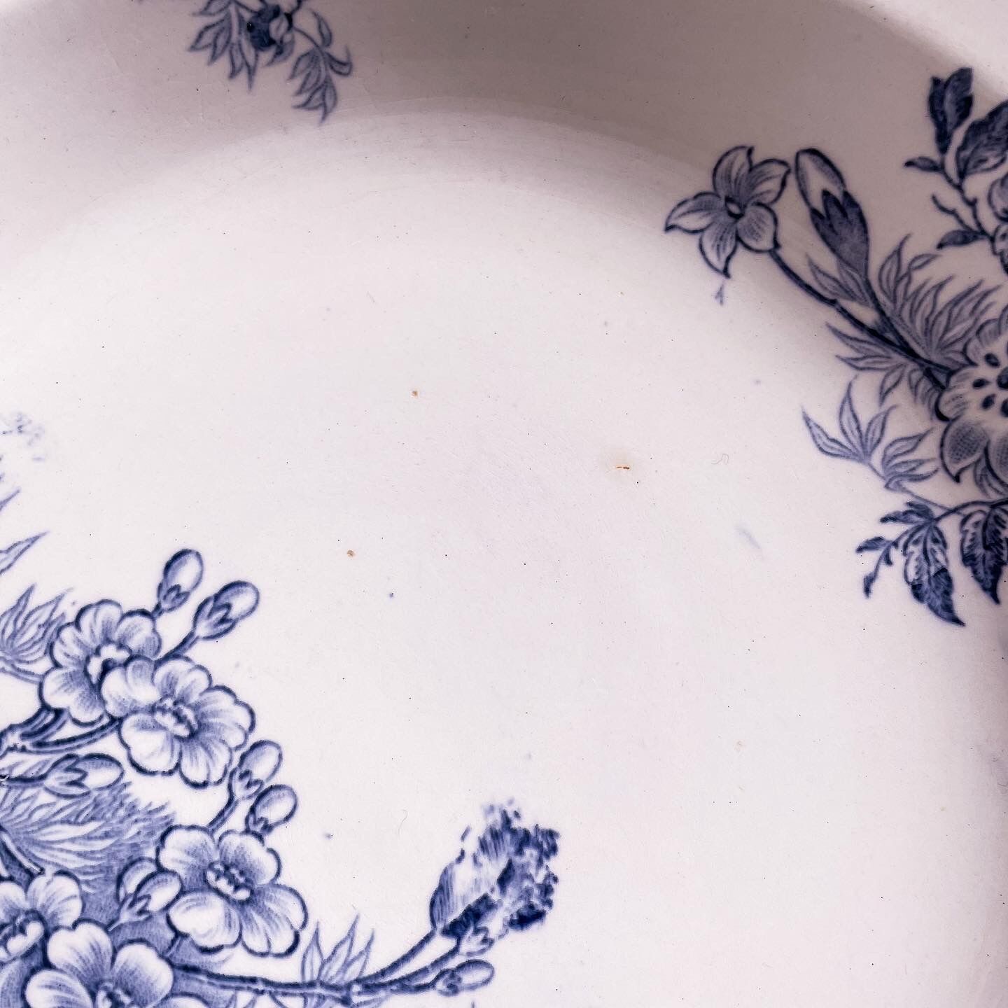 6 hollow plates iron earth model Flora