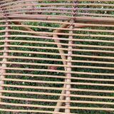 Rattan daybed