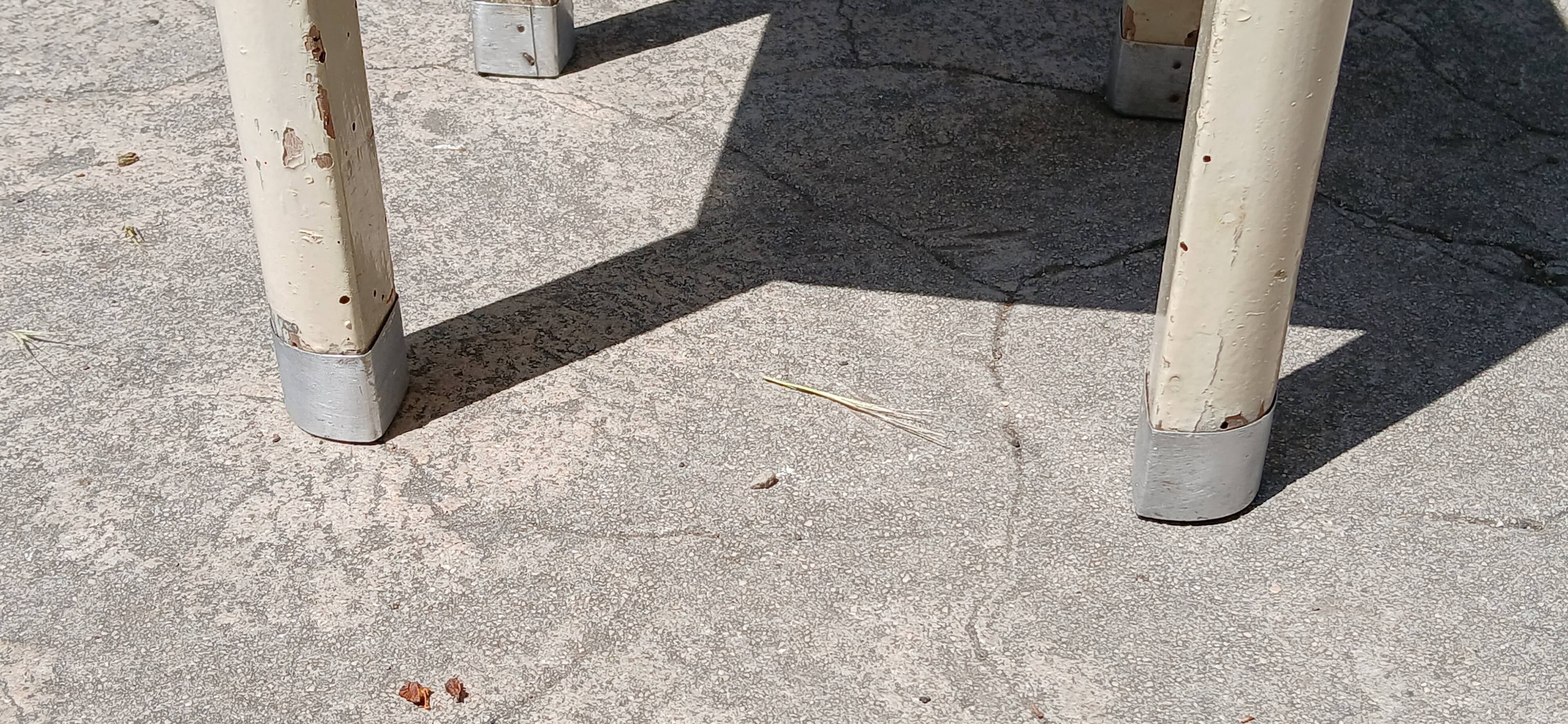 Shoe polish stool with round top and aluminum legs.