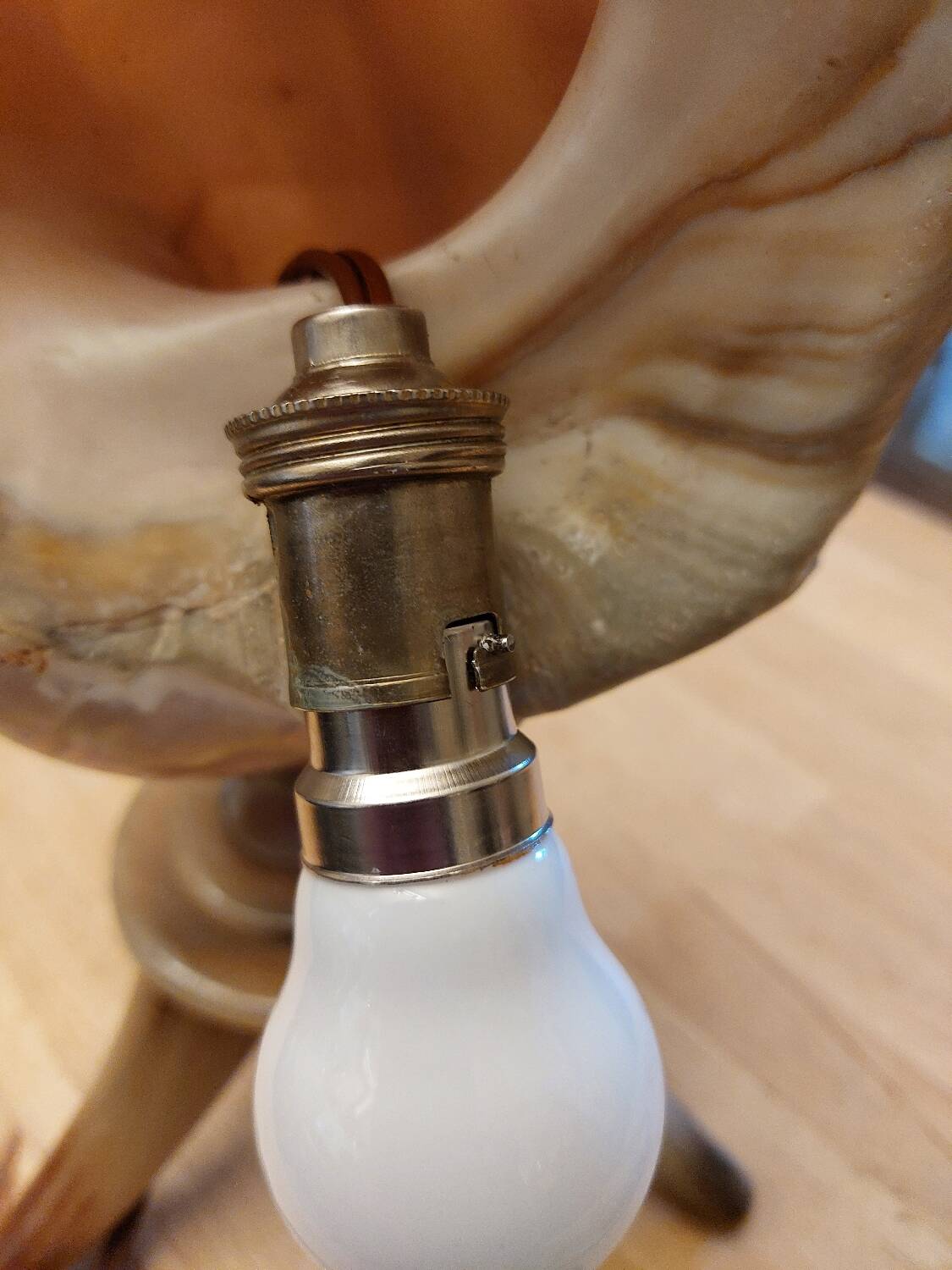 Vintage shell lamp