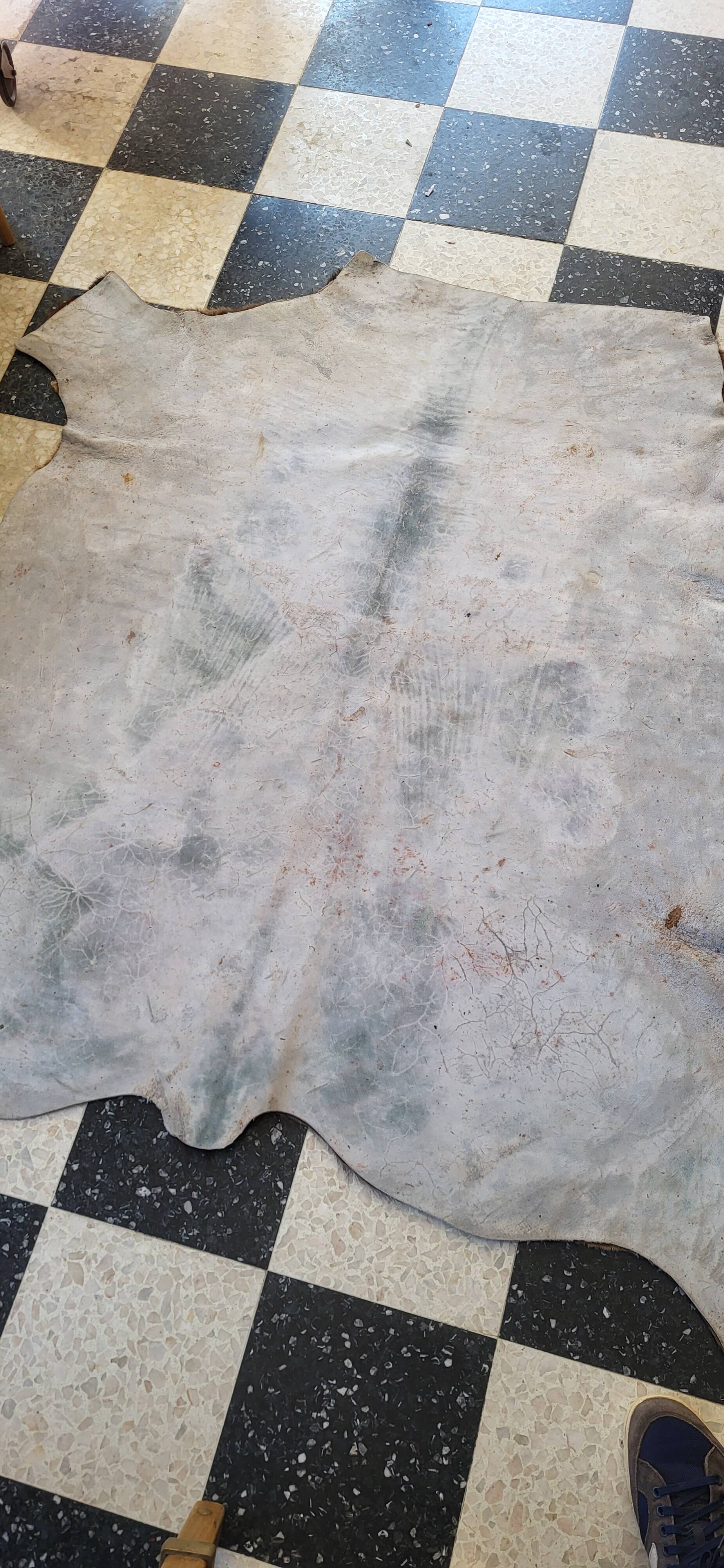Cowhide / calfskin