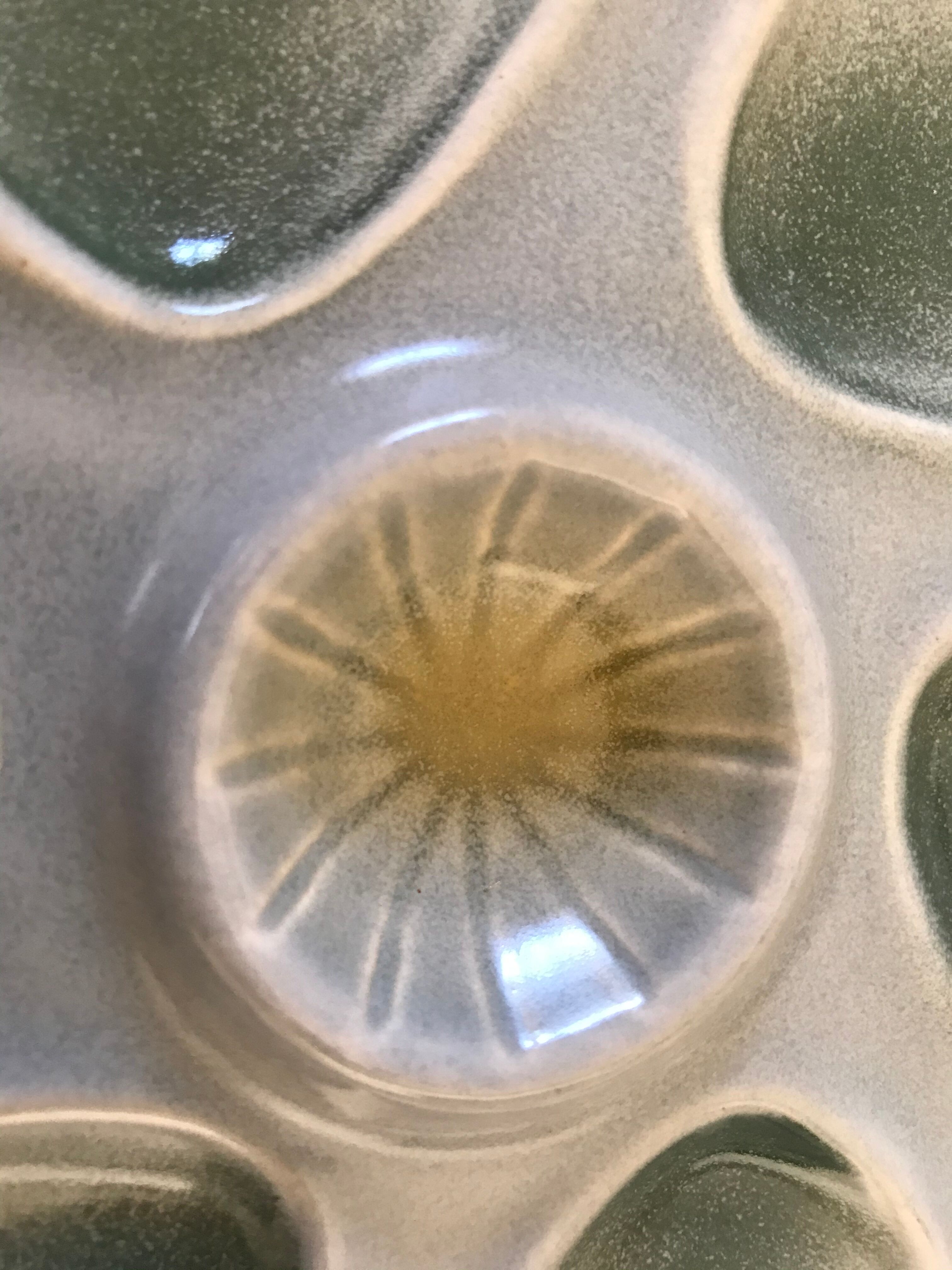 Six Salins oyster plates