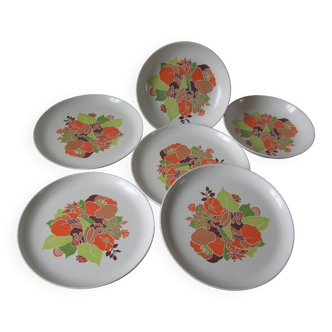 Set of 6 Tefal plates in melamine floral decor 1970s/80s camping combi