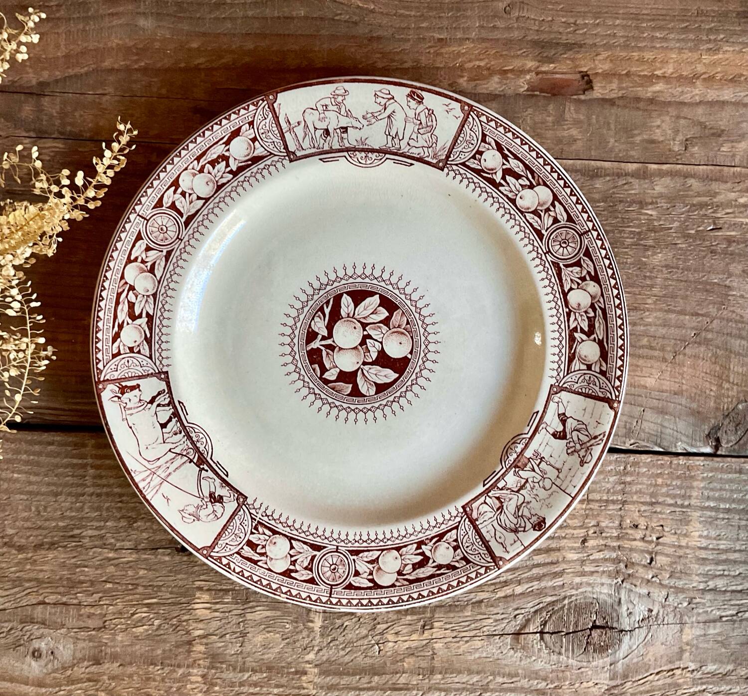 6 BROWNFIELD & SONS “Chelsea” England plates