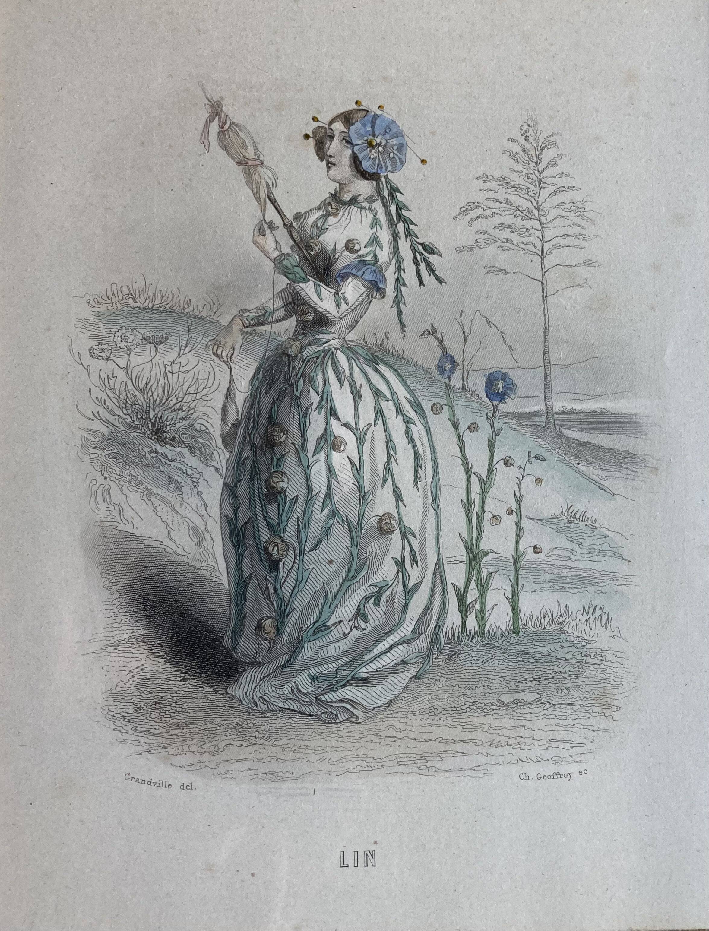 Framed engravings "animated flowers" - JJ Grandville