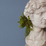 Head David in full plaster