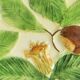 Large ancient dish “decor of chestnuts”