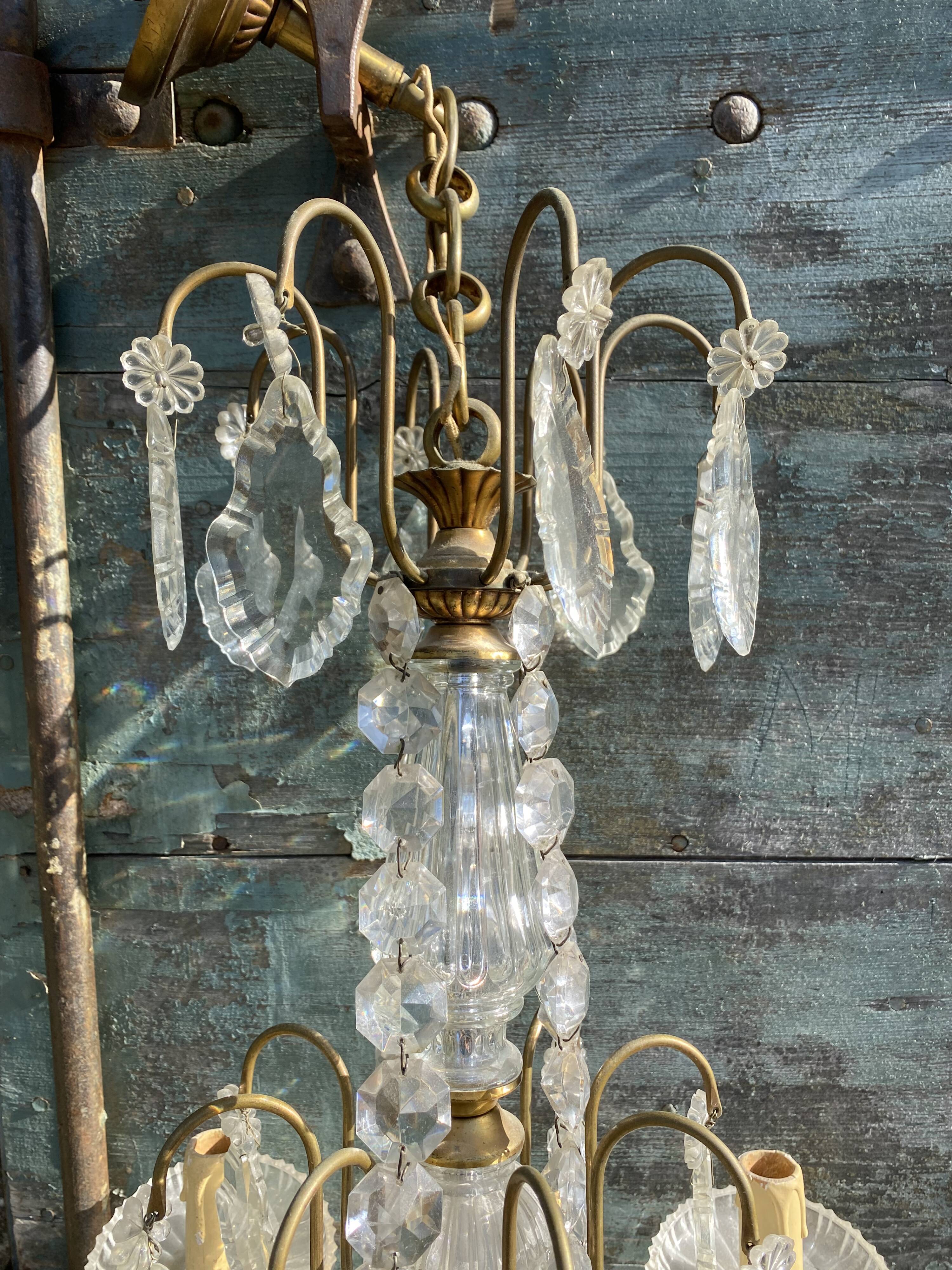 Chandelier with bronze and crystal grapevines