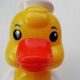 Duck culbuto