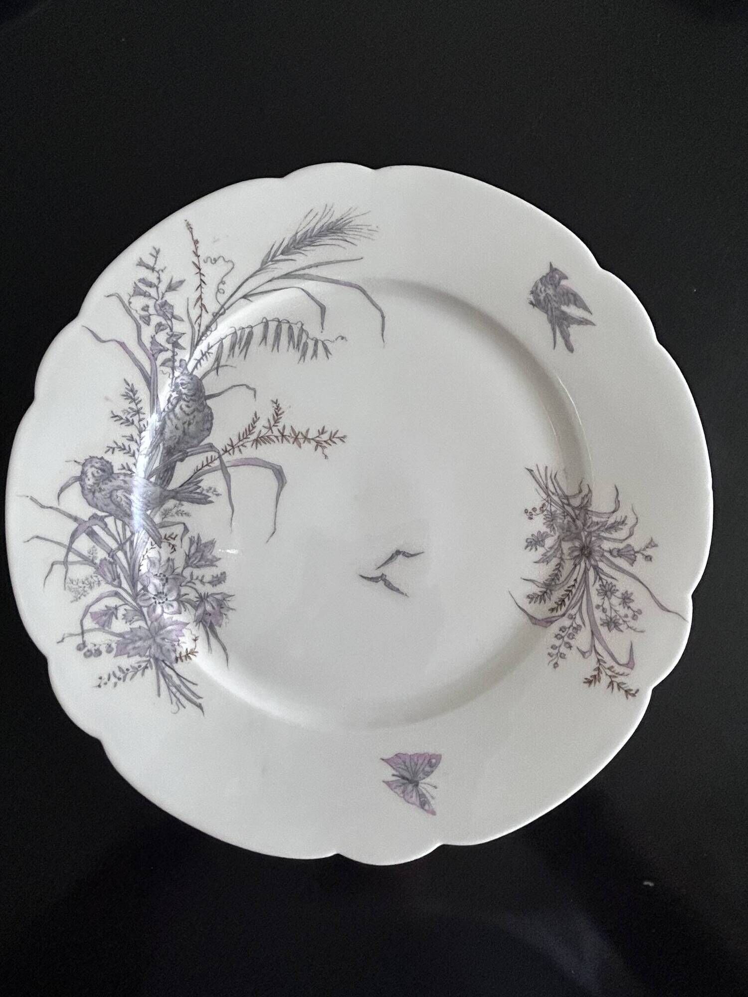 8 porcelain plates and 1 dish CH Pillivuyt & Cie