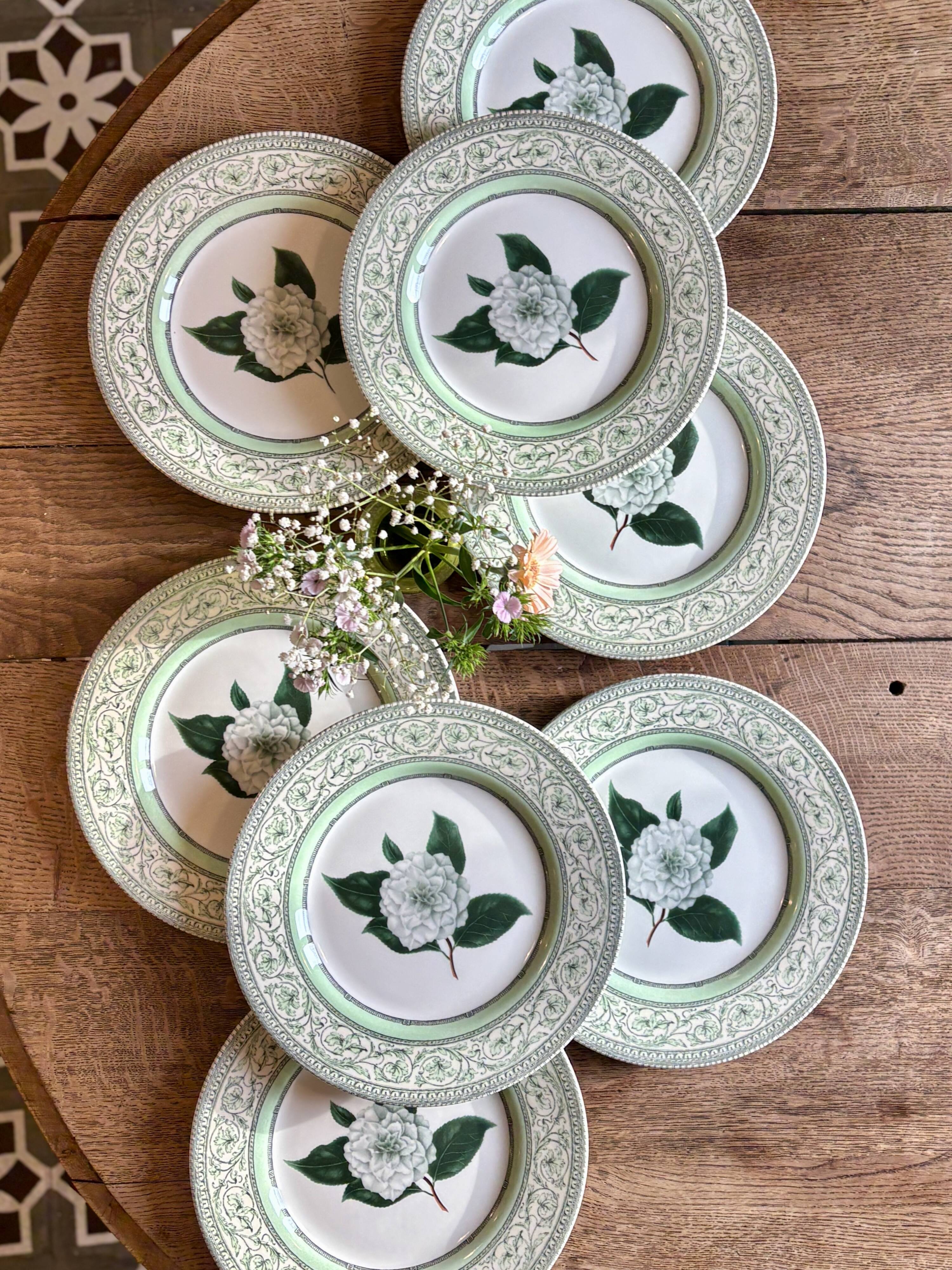 Lot de 8 assiettes plates Camélia - en porcelaine Anglaise