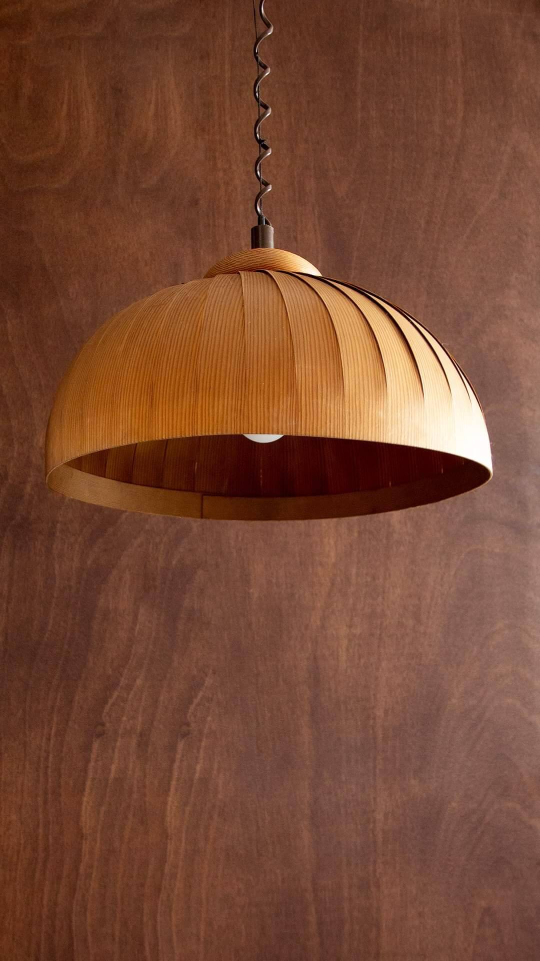 Danish vintage pendant light Hans Agne Jakobsson