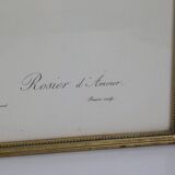 Great Redouté Lithograph