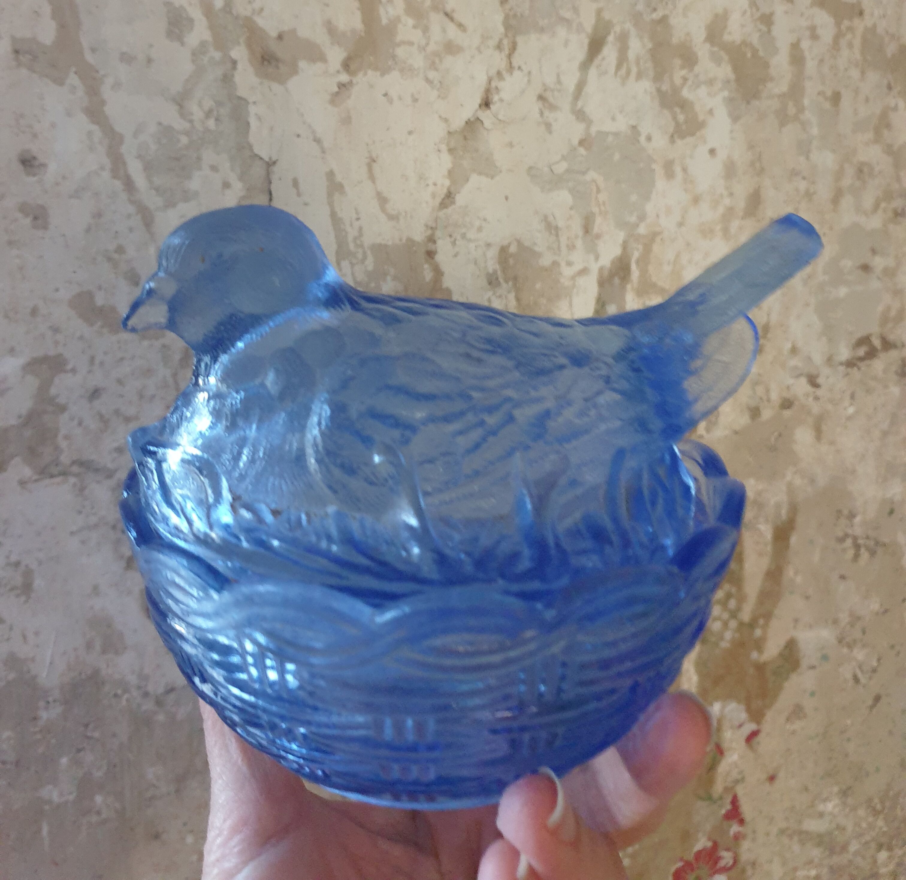 Bonbonnière blue bird