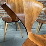 Set of 4 Norman Cherner chairs for Plycraft USA in teak, 1960s