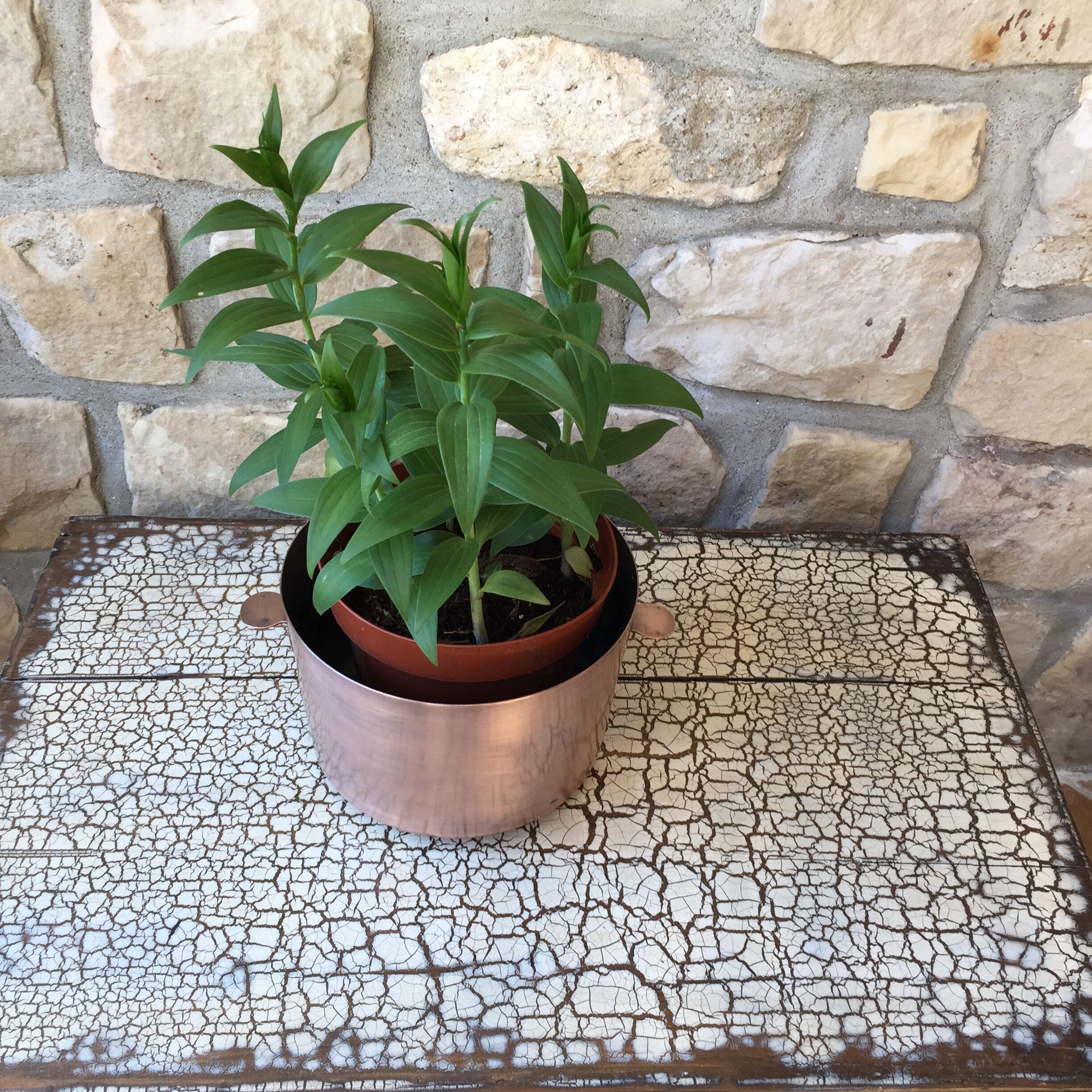 Ancient pink copper pot cover