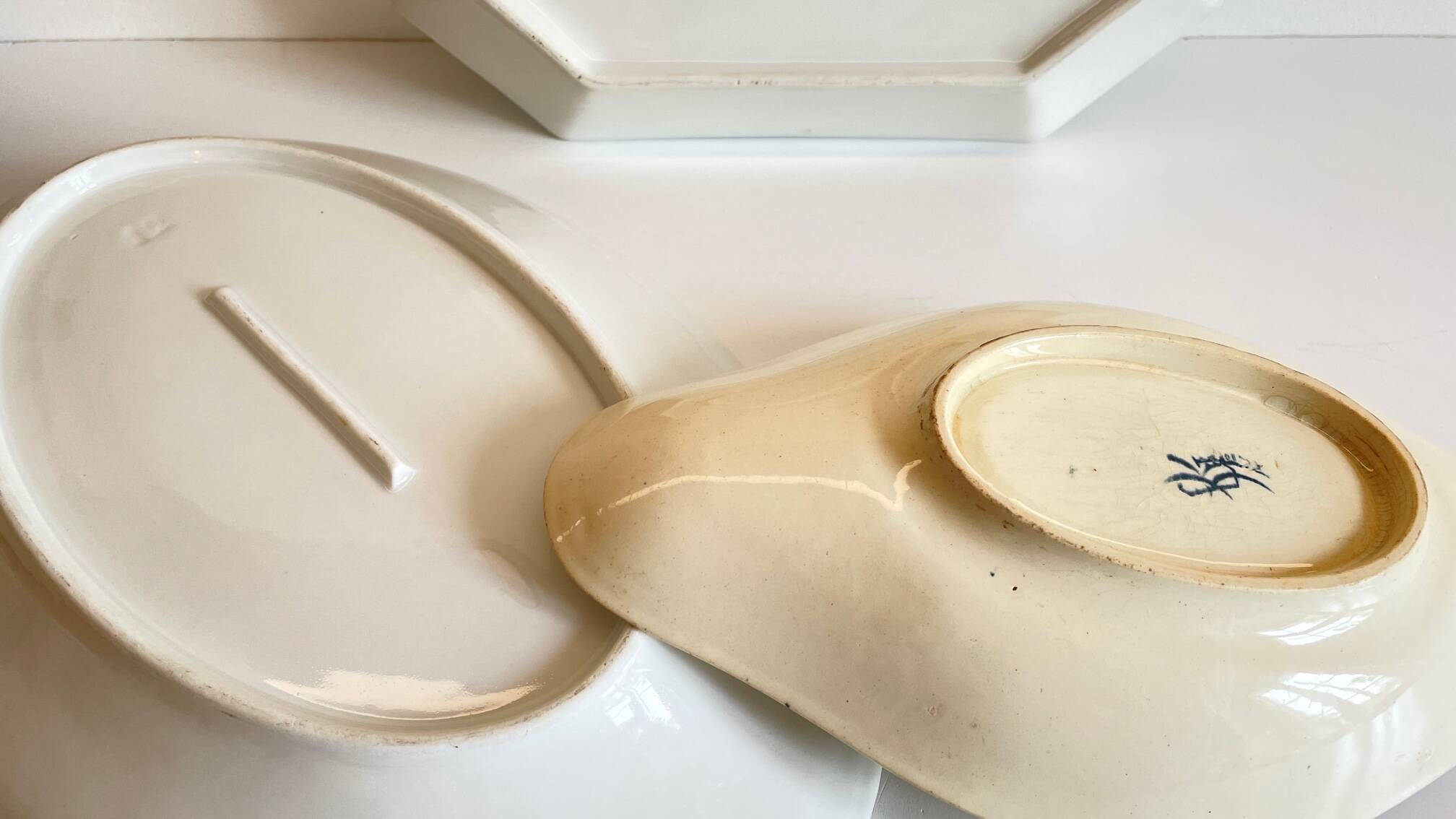 3 Presentation Dishes Terre de Feu KG LUNEVILLE – France