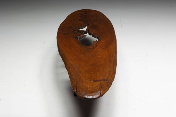 Table basse moderne organique avec vide naturel, France, milieu du 20e siècle