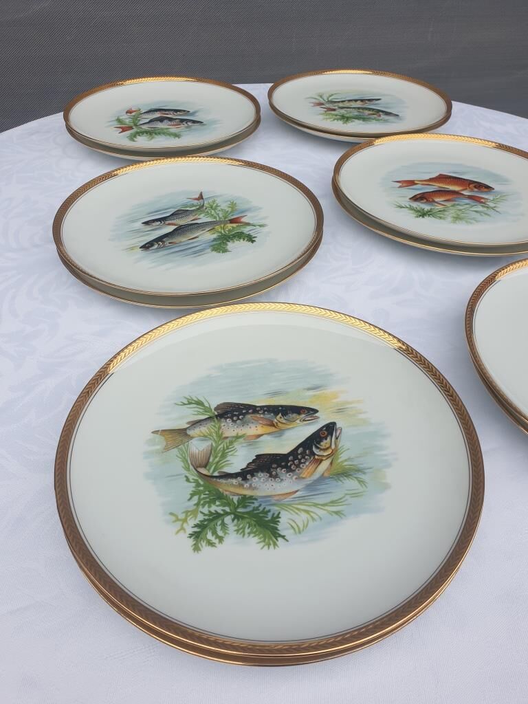 Set 12 plates porcelain fish edge laurel gold Bernardaud